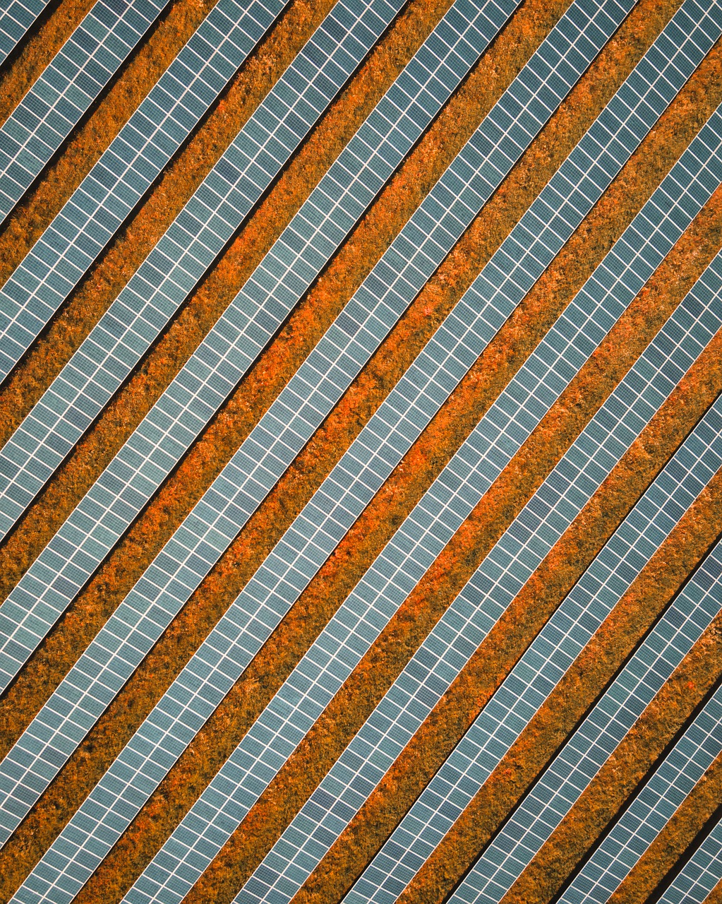 solar, solar field, solar system